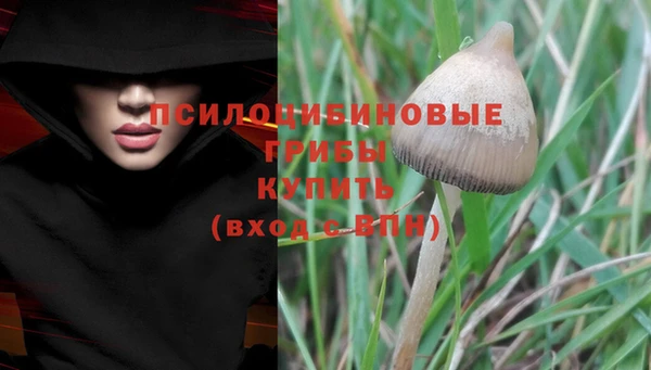 ПСИЛОЦИБИНОВЫЕ ГРИБЫ Аркадак