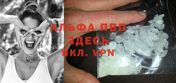 ПСИЛОЦИБИНОВЫЕ ГРИБЫ Аркадак